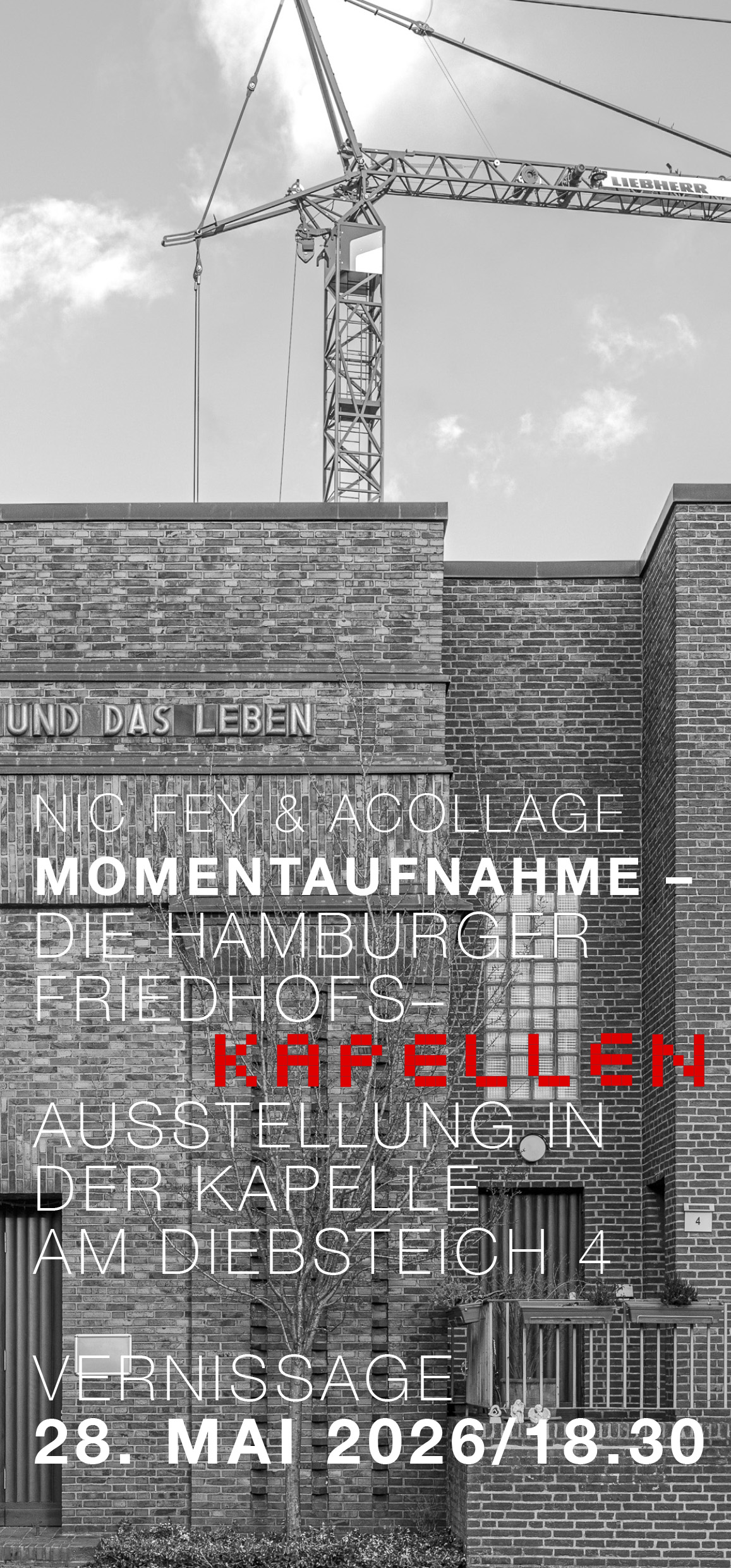 Acollage Archsommer 2026 Flyer 1 c